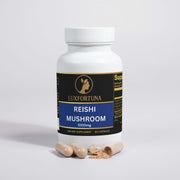 Reishi mushroom