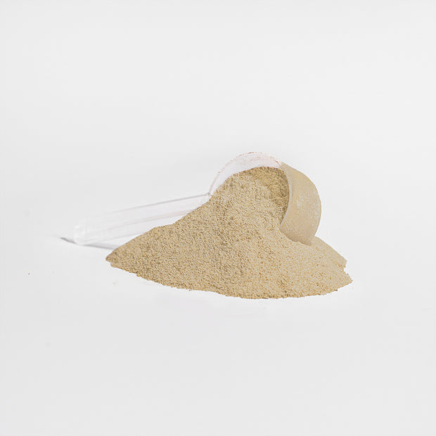 100 Whey Protein Isolate – Premium Vanilla Protein for Muscle Recovery